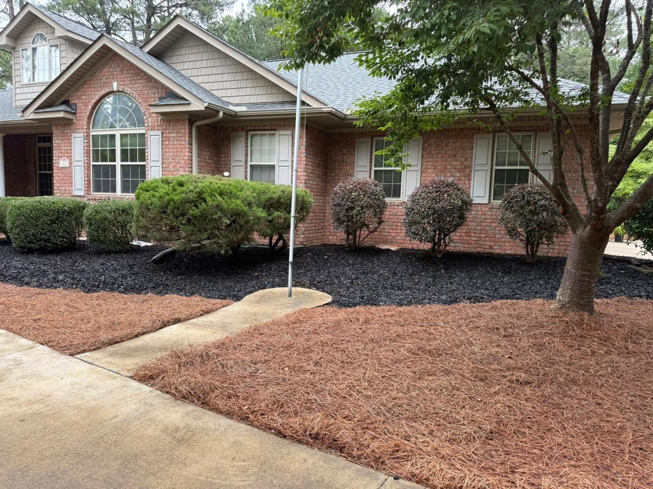 After — clean mulch beds and trimmed shrubs