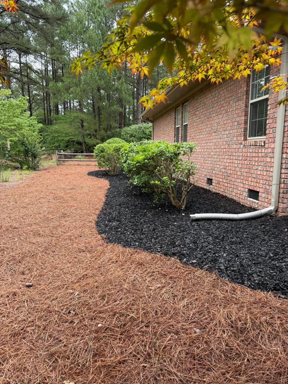 After — fresh pine straw and mulch beds