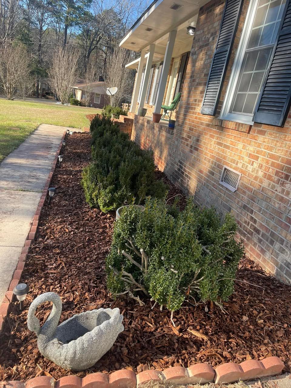 After — fresh mulch and trimmed shrubs