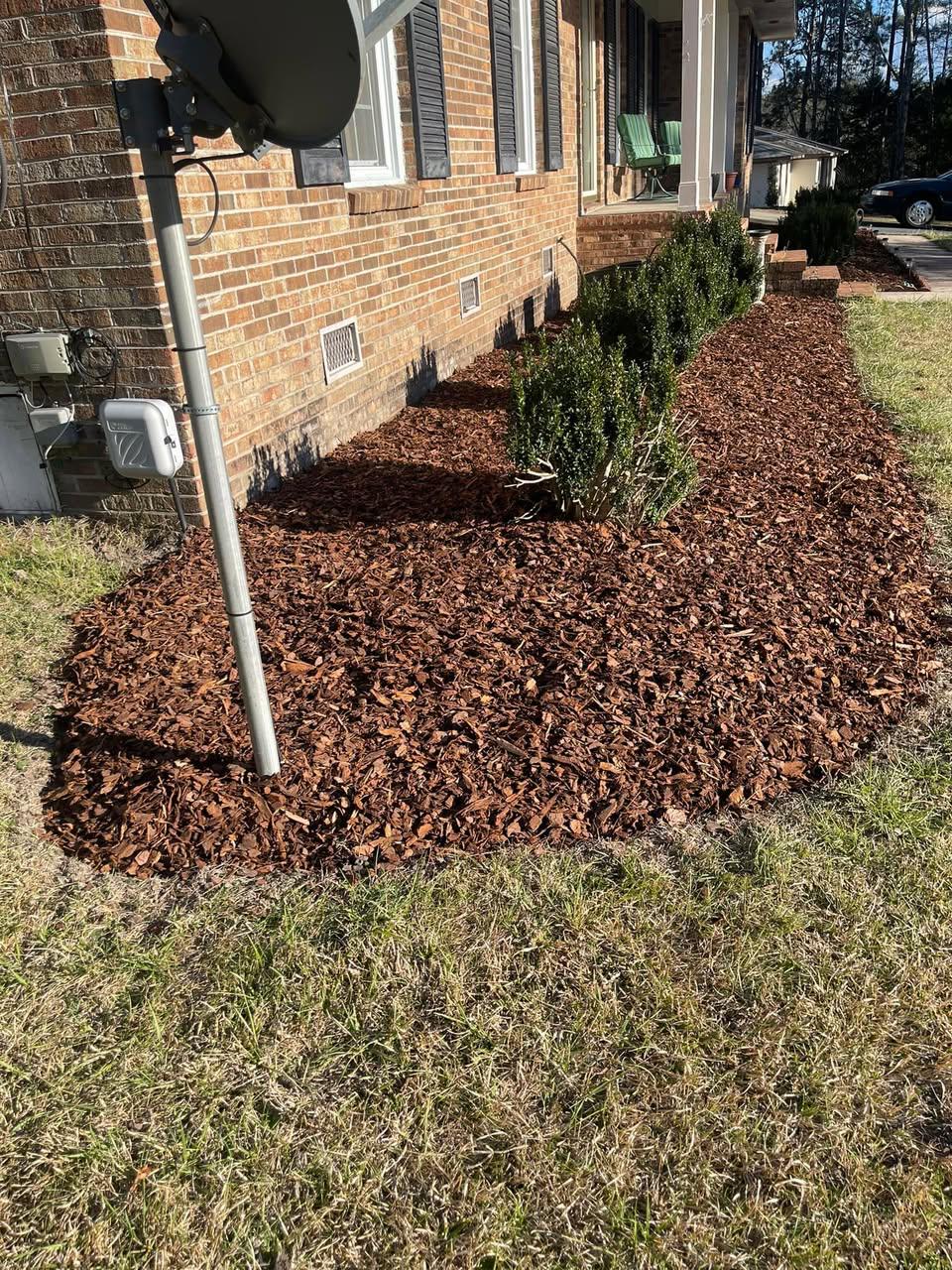 After — clean mulch bed with new plantings