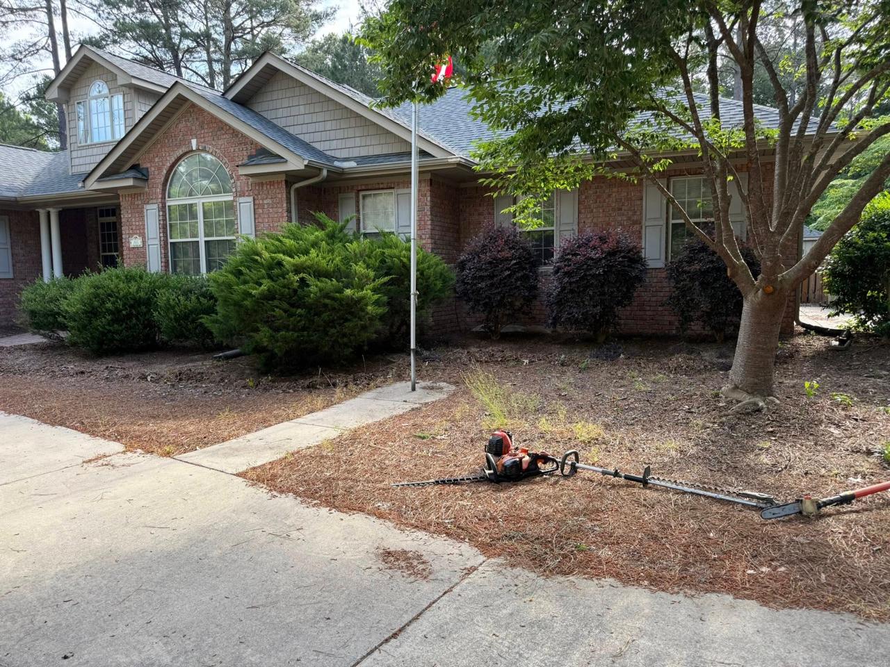 Before — overgrown yard