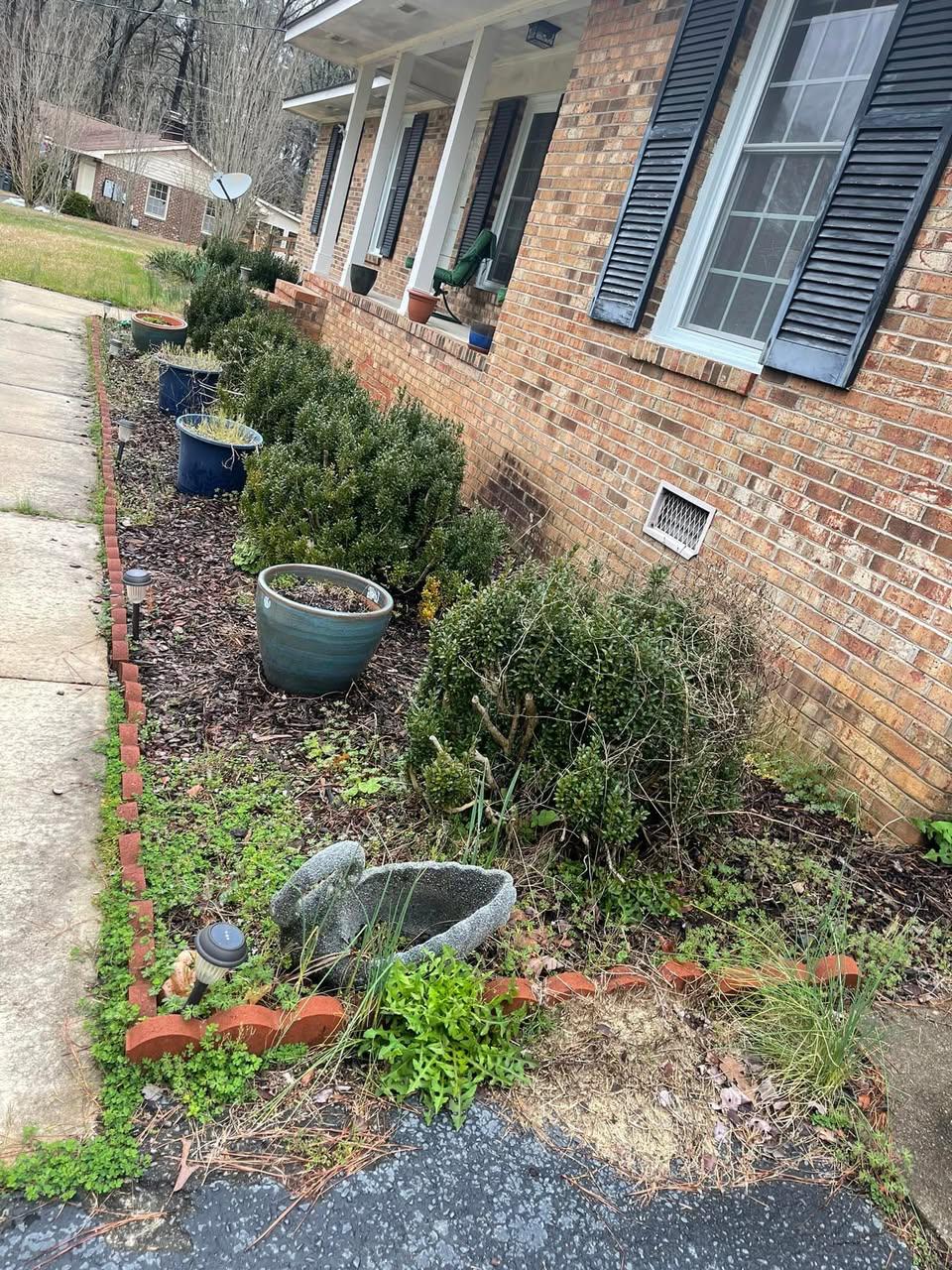 Before — overgrown weedy flower beds