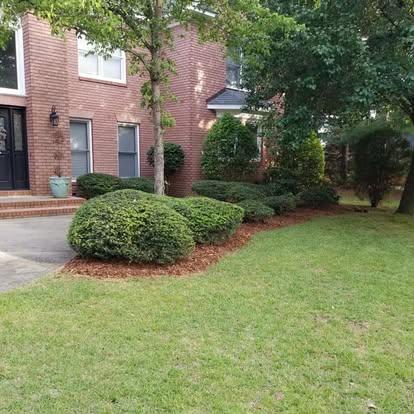 Neatly trimmed shrubs and maintained lawn