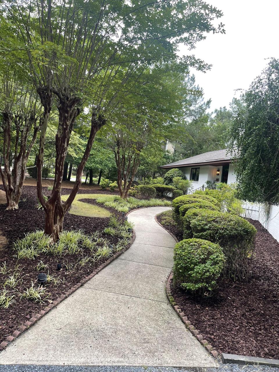 Beautifully maintained walkway with trimmed shrubs and mulch beds